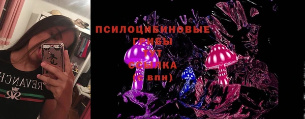 spice Абаза