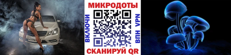 что такое   Кимовск  Галлюциногенные грибы Psilocybine cubensis 